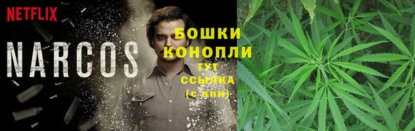 дживик Баксан